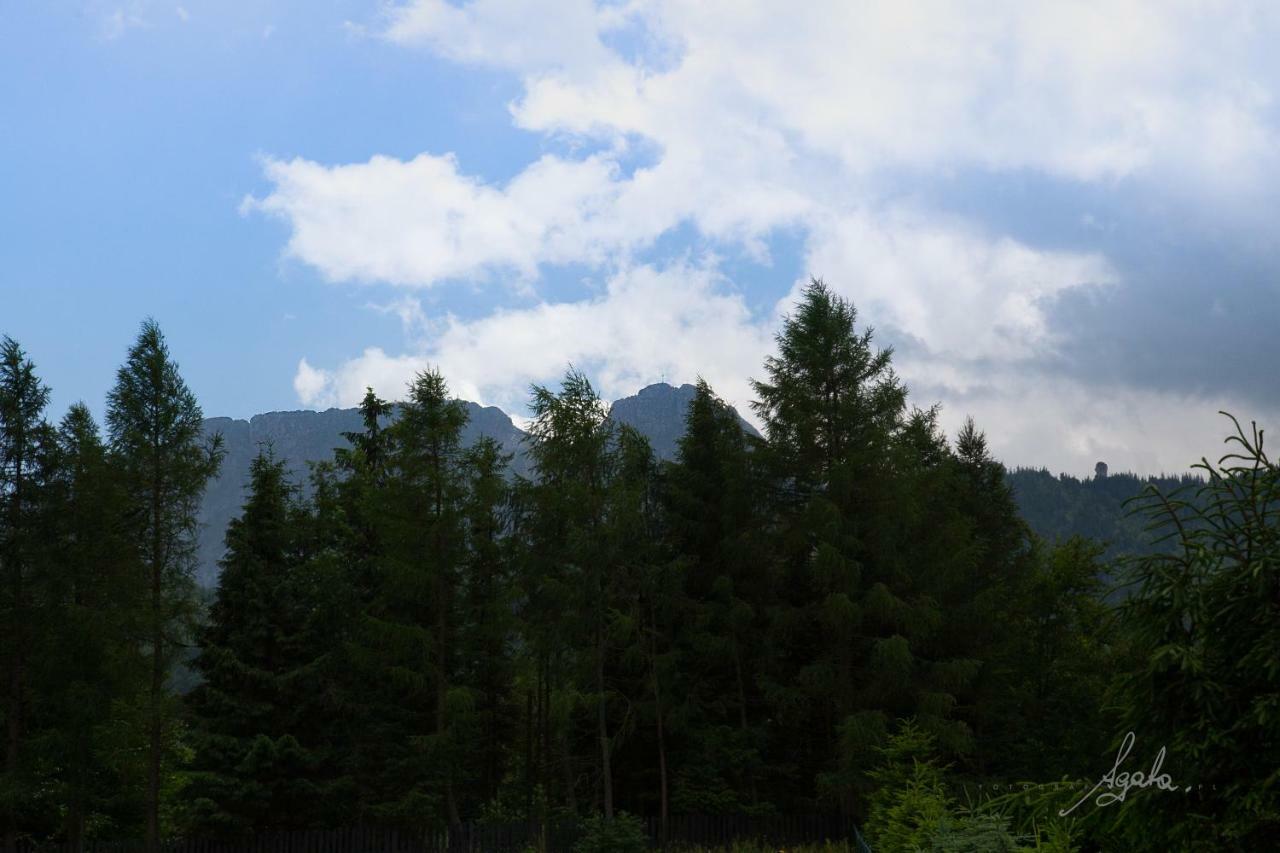 Apartament Krolewski Superior Z Sauna Zakopane Exteriör bild