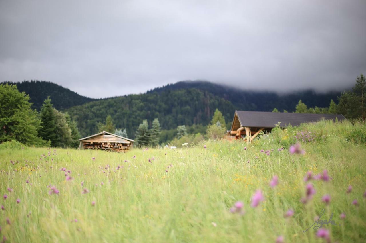Apartament Krolewski Superior Z Sauna Zakopane Exteriör bild